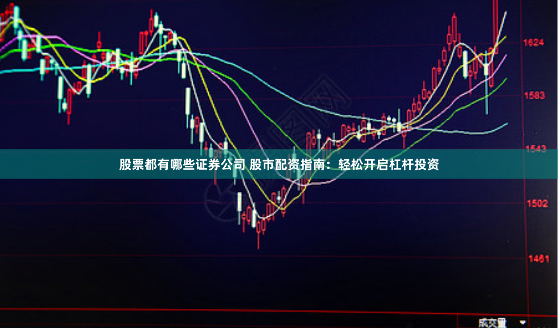 股票都有哪些证券公司 股市配资指南：轻松开启杠杆投资