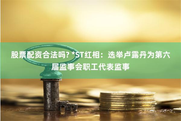 股票配资合法吗? *ST红相：选举卢露丹为第六届监事会职工代表监事