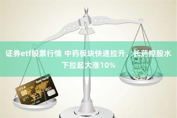 证券etf股票行情 中药板块快速拉升，长药控股水下拉起大涨10%