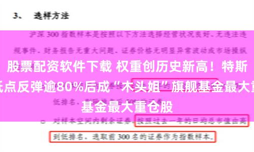 股票配资软件下载 权重创历史新高！特斯拉较低点反弹逾80%后成“木头姐”旗舰基金最大重仓股