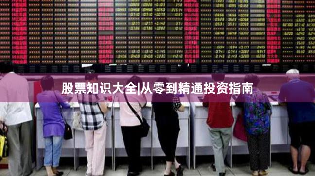 股票知识大全|从零到精通投资指南