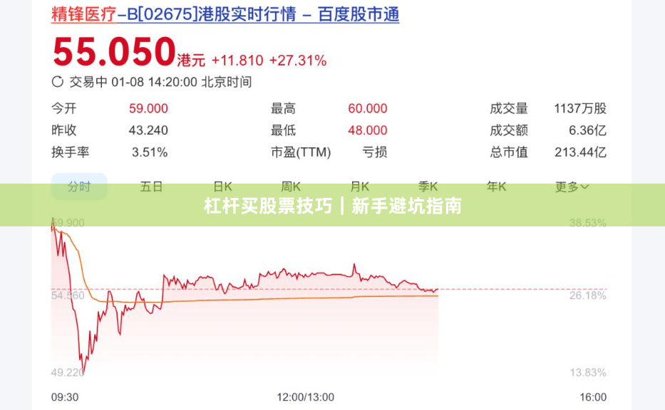 杠杆买股票技巧｜新手避坑指南